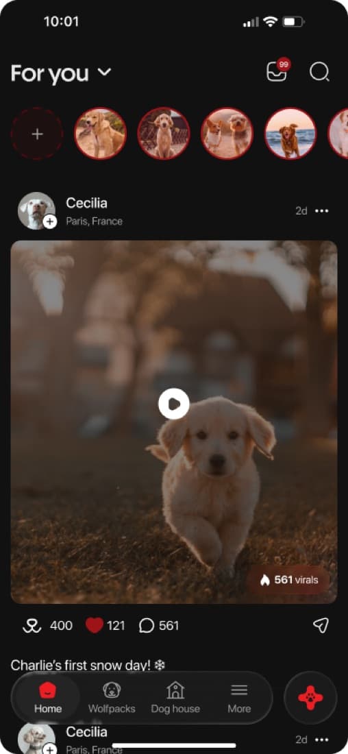 Reels — delivered through the FFmpeg HLS video pipeline