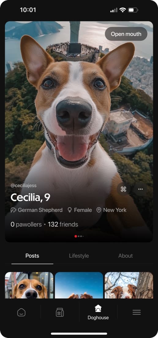 Dog profiles and the social graph the API models