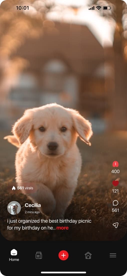 Search and discovery across posts and Wolf Packs